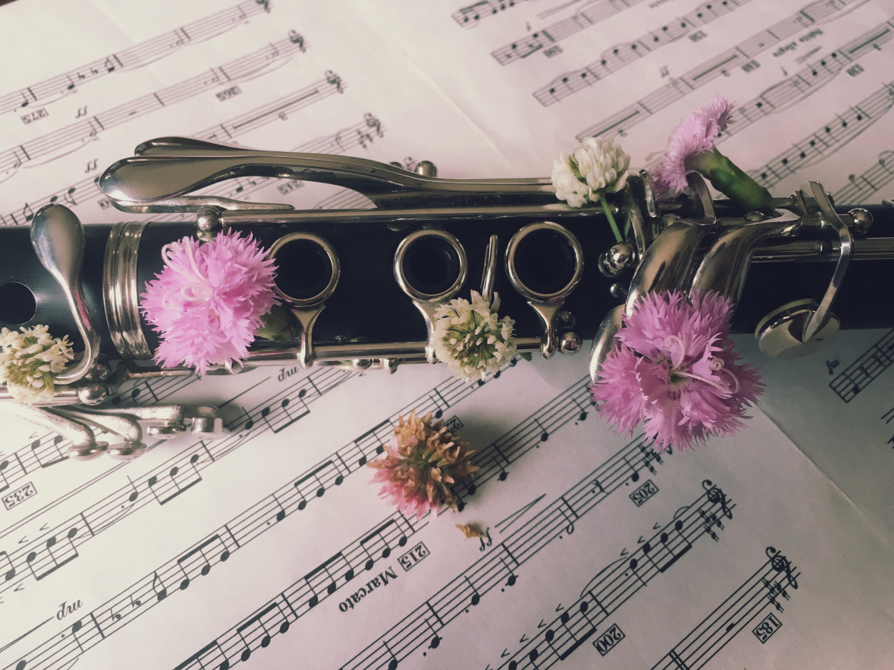 Σχολή Μουσικής