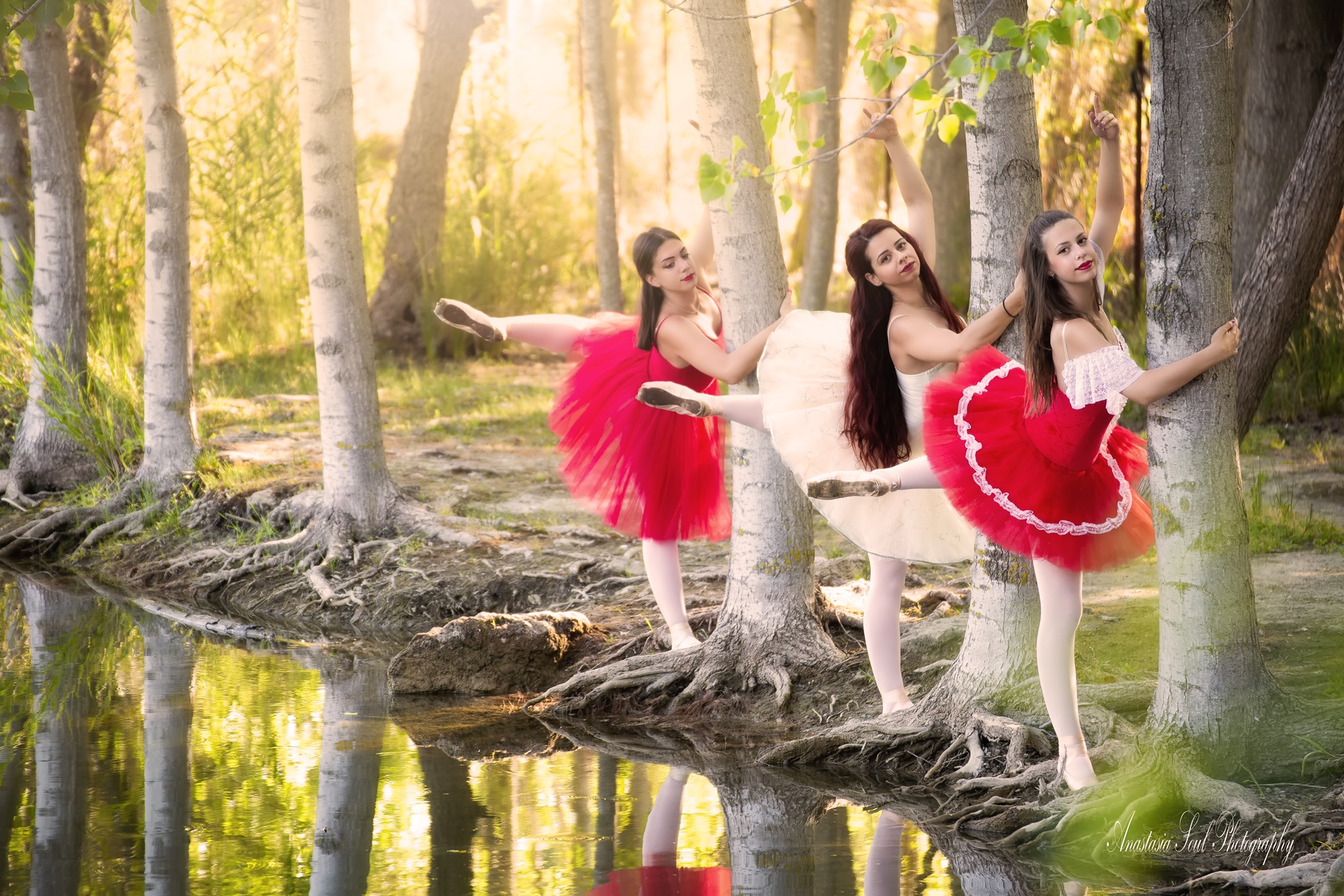 Σχολή Χορού