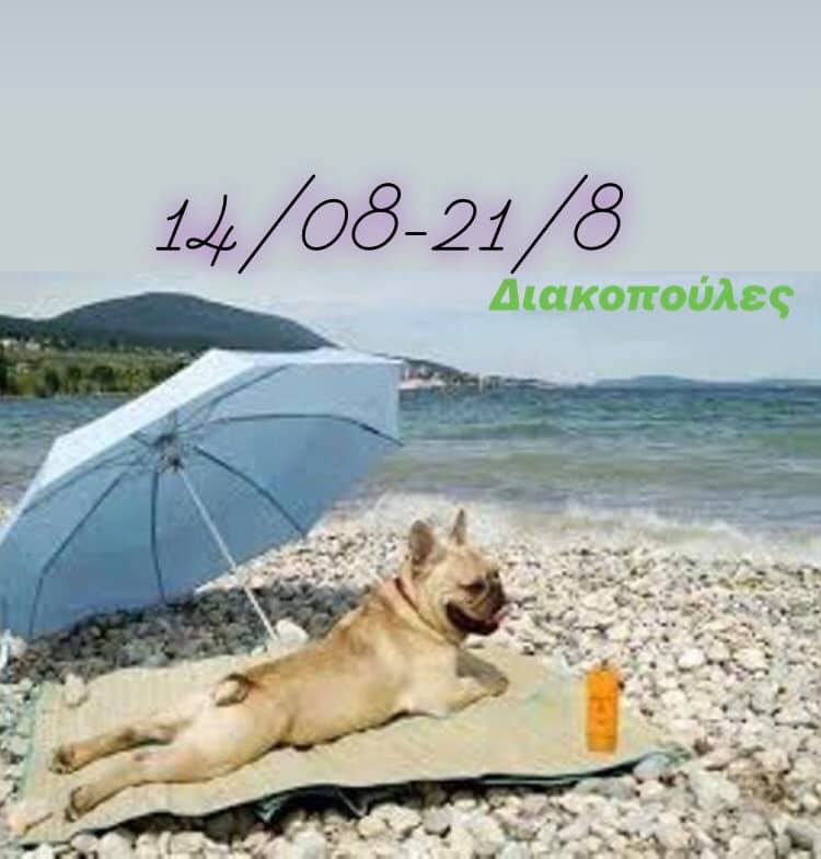 Κομμωτήρια σκύλων